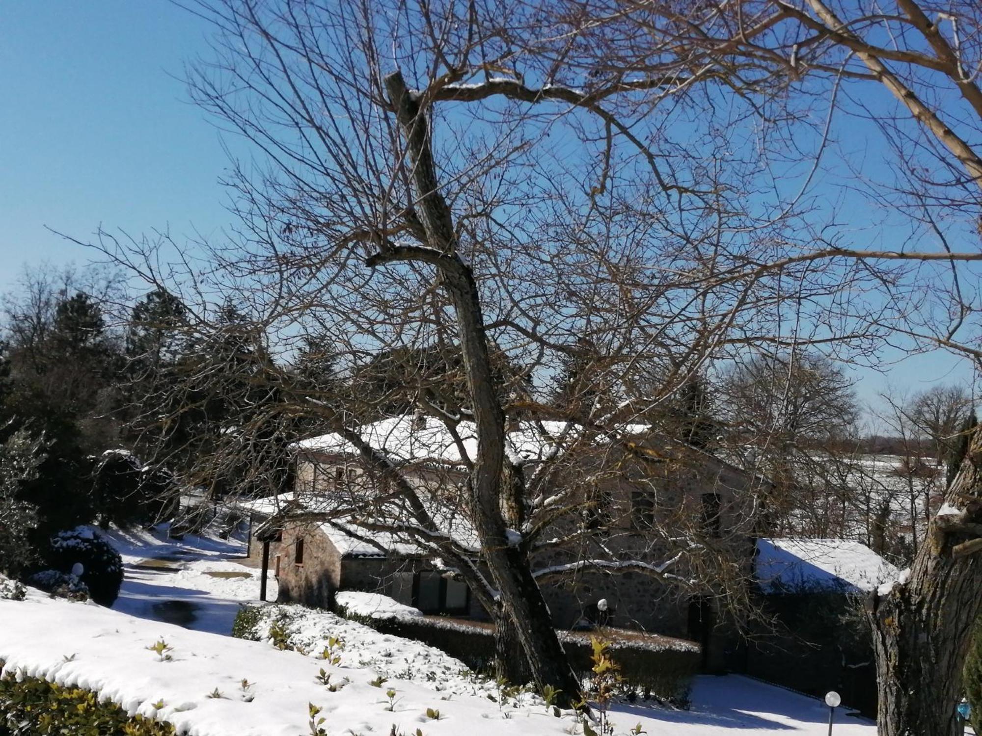 Agriturismo Il Cornalino Castel Viscardo Exteriér fotografie