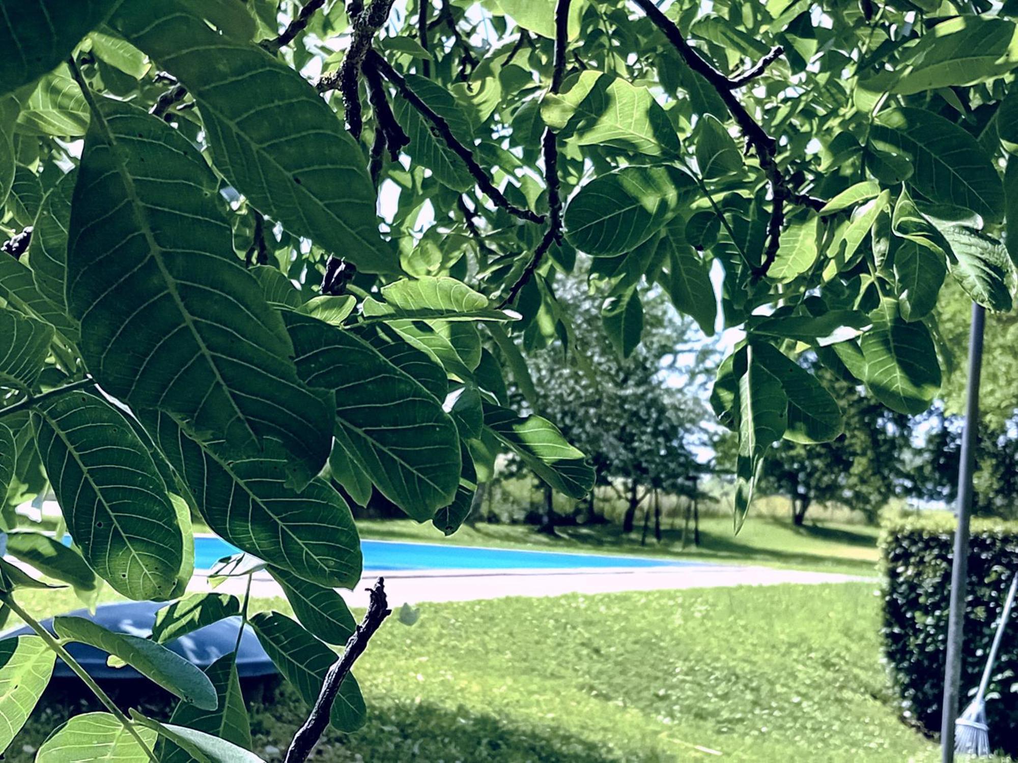 Agriturismo Il Cornalino Castel Viscardo Exteriér fotografie