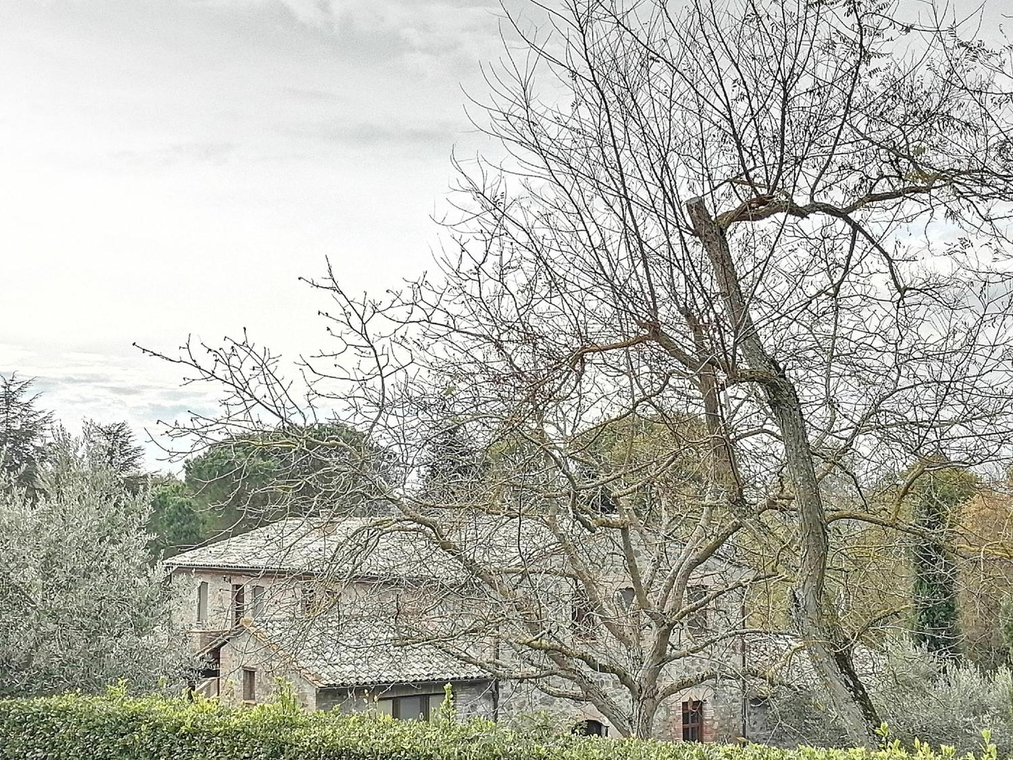 Agriturismo Il Cornalino Castel Viscardo Exteriér fotografie