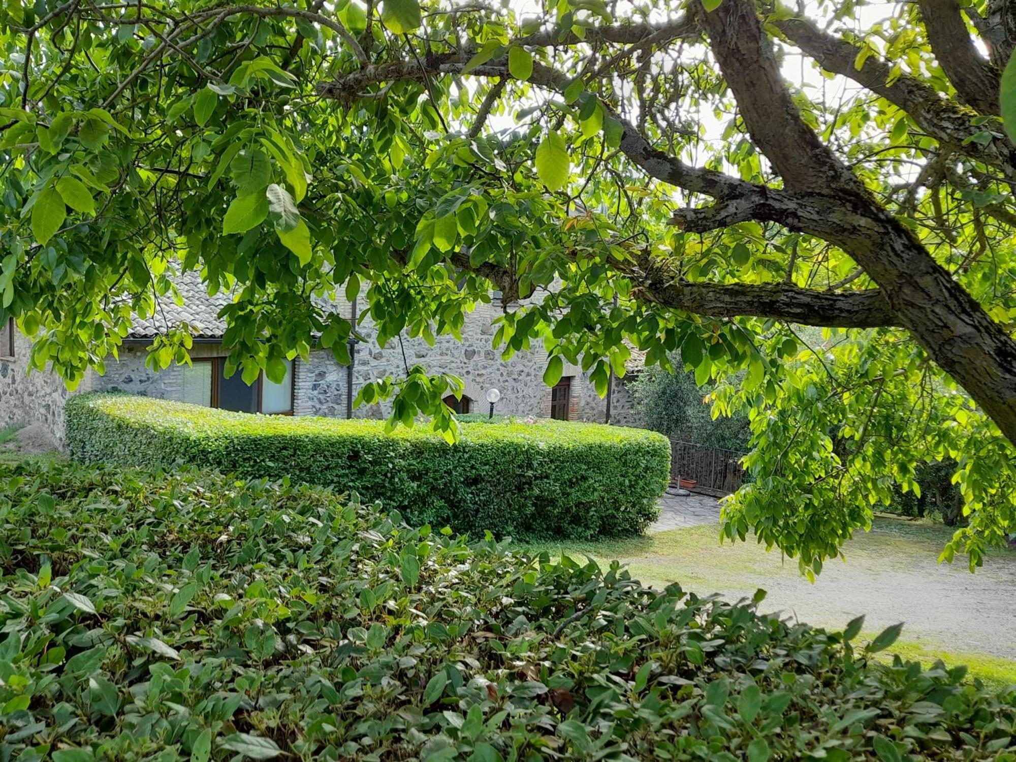 Agriturismo Il Cornalino Castel Viscardo Exteriér fotografie