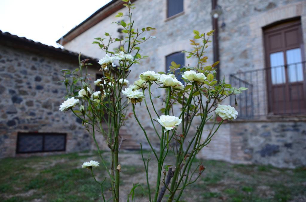 Agriturismo Il Cornalino Castel Viscardo Exteriér fotografie